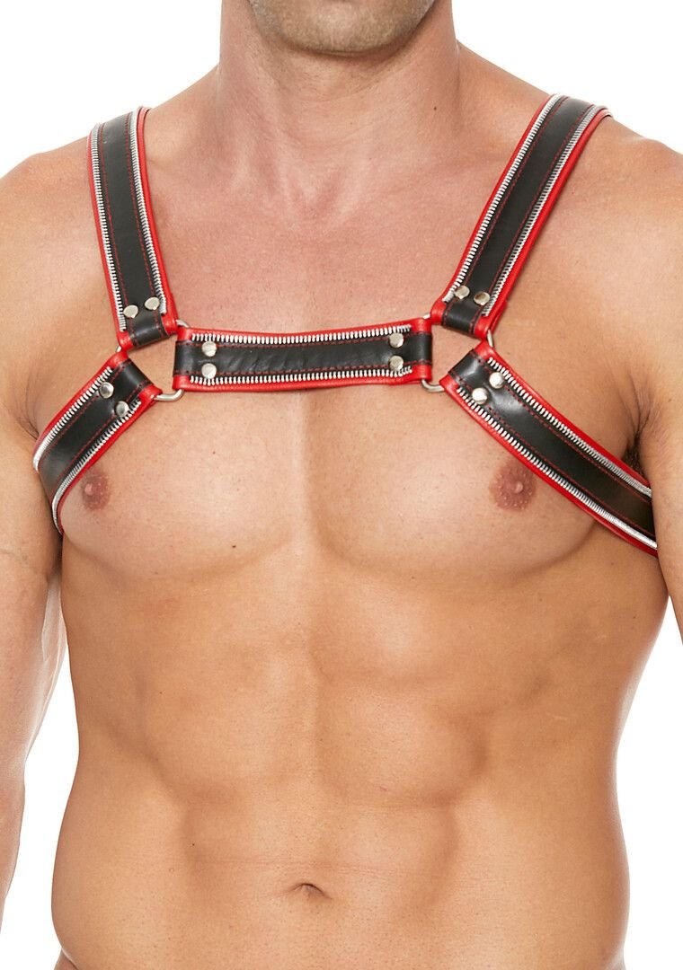 Ouch! by Shots Bulldog harnas leer L/XL