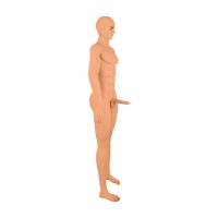 Dolls by Shots Justin Staande TPE Pop 180cm, afbeelding 4