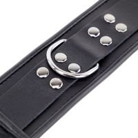 Red Leather nek- en handbeperking set, afbeelding 6